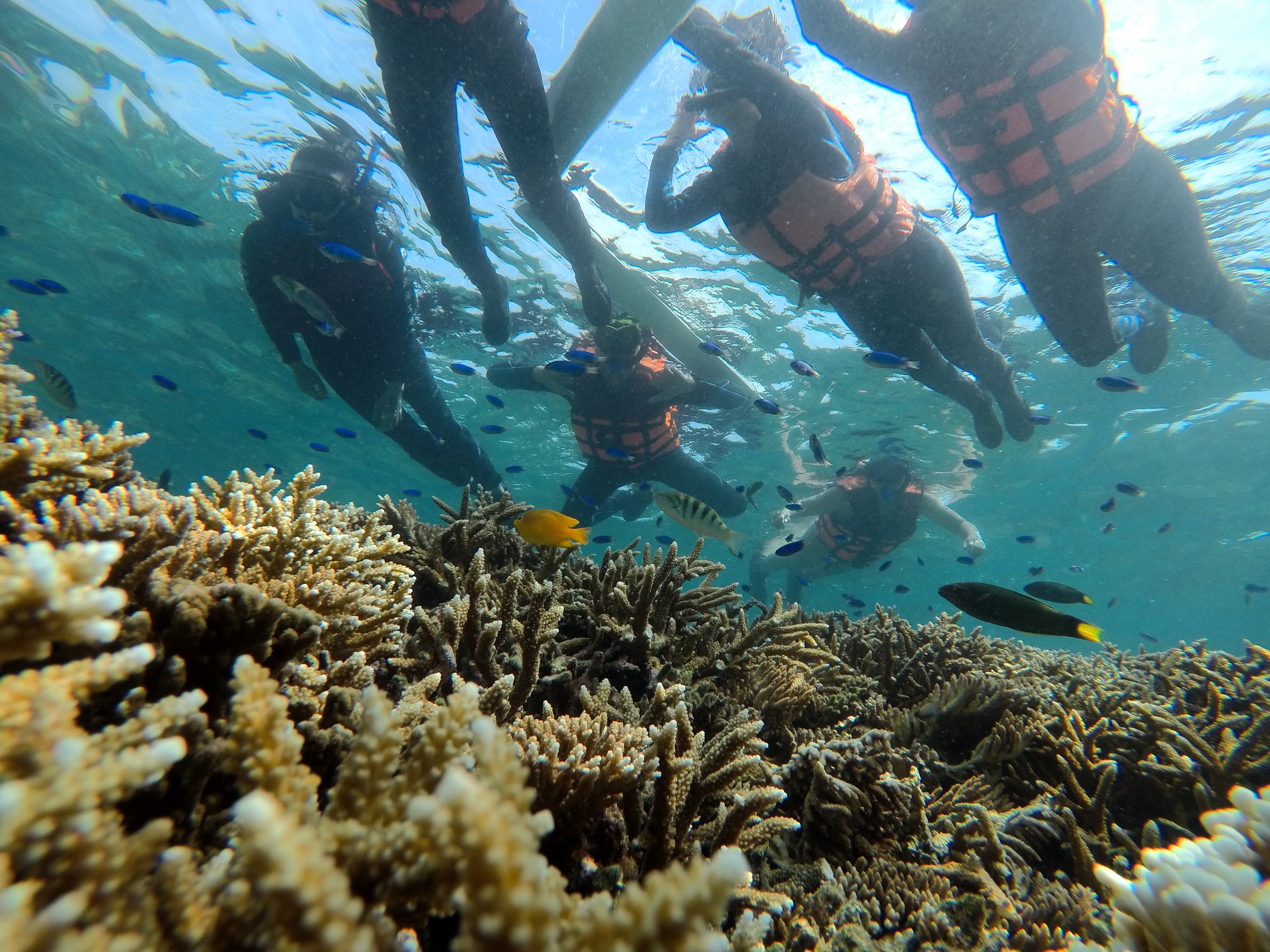 澎湖旅遊-專業浮潛